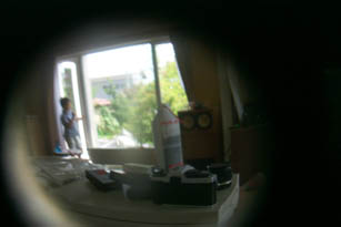 umei1.jpg